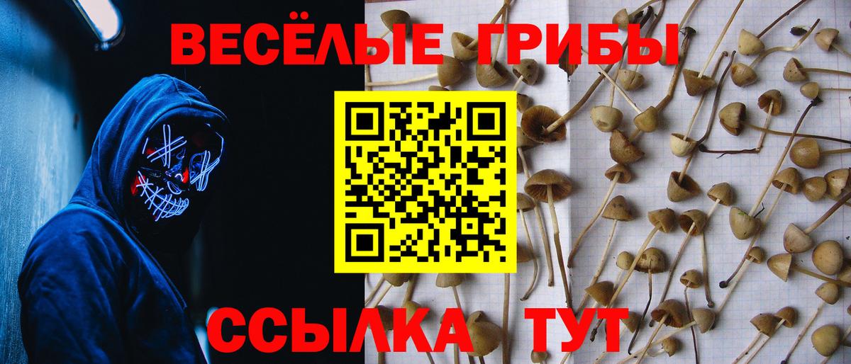 Галлюциногенные грибы прущие грибы Трёхгорный